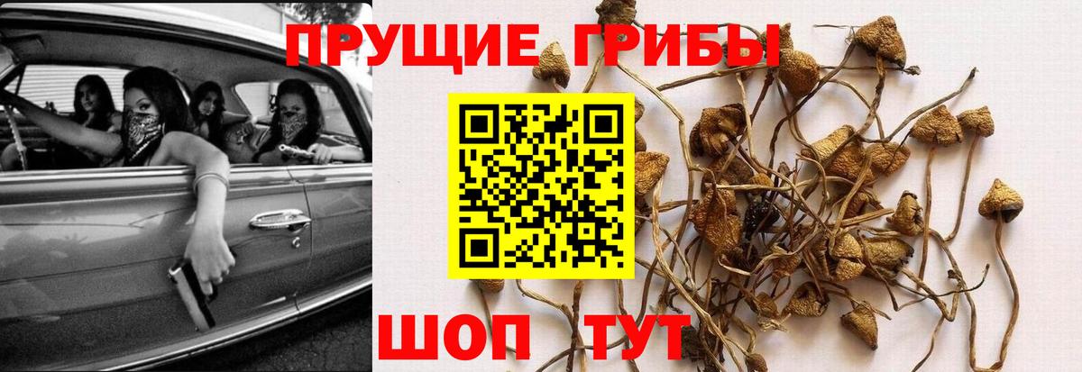 Галлюциногенные грибы мухоморы Ирбит